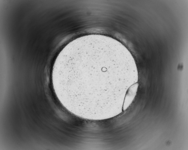 X0000103430062200810241108