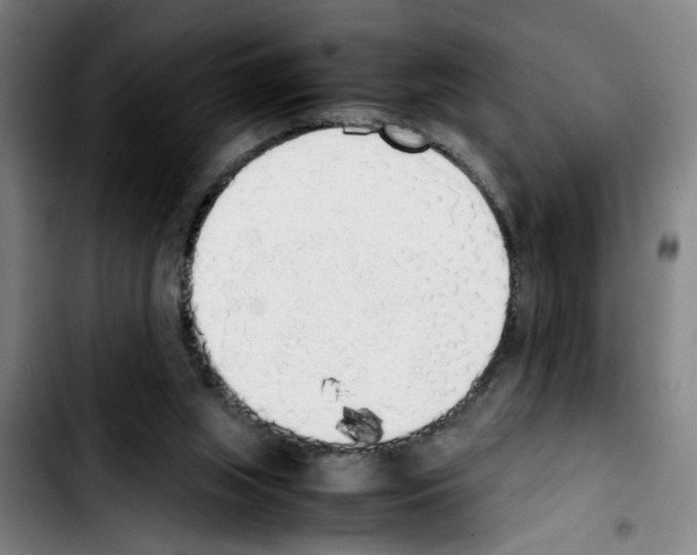 X0000103430063200810241108