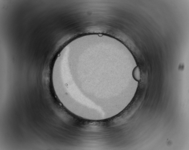 X0000103430064200810241108