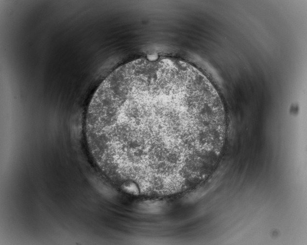 X0000103430065200810241108