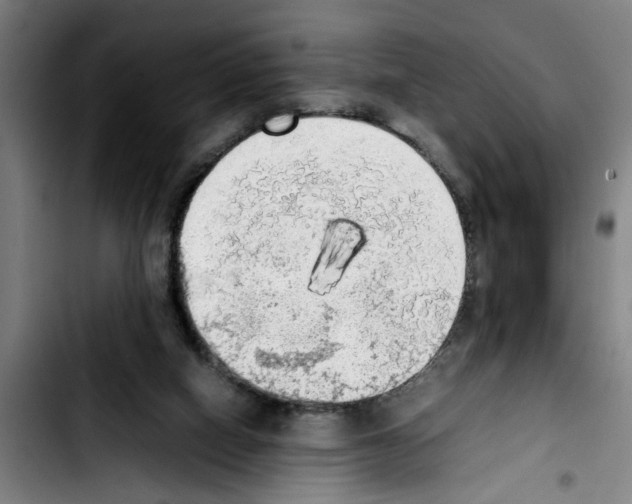 X0000103430066200810241108