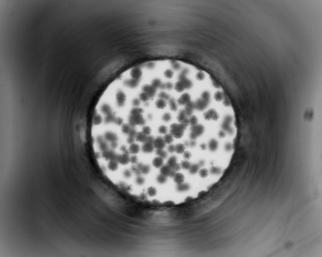 X0000103430068200810241108
