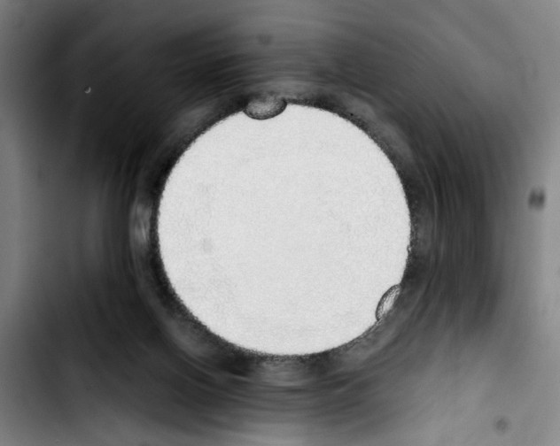X0000103430070200810241108