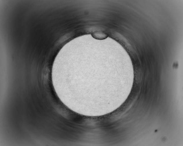 X0000103430071200810241108