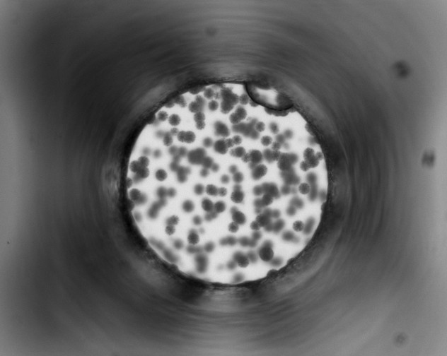 X0000103430072200810241108