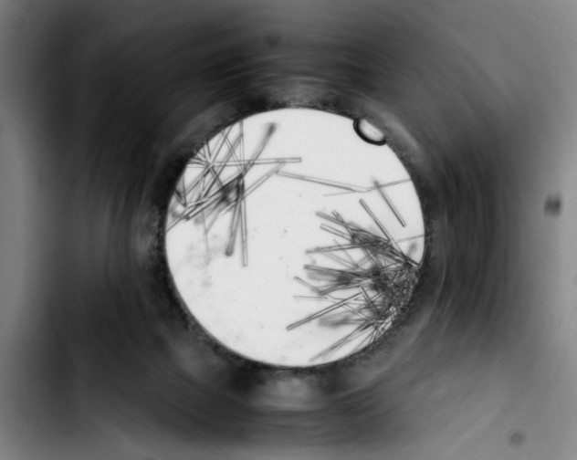 X0000103430073200810241108