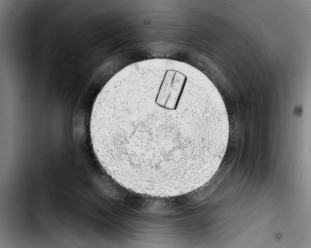 X0000103430074200810241108