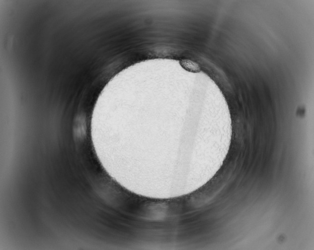 X0000103430075200810241108