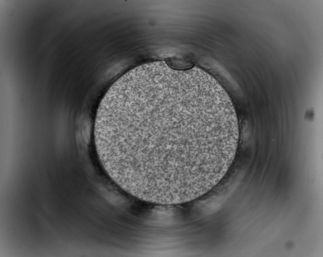 X0000103430076200810241108