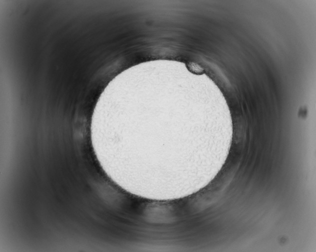 X0000103430077200810241108
