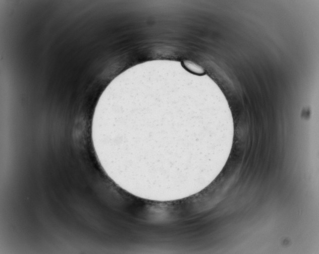 X0000103430079200810241108