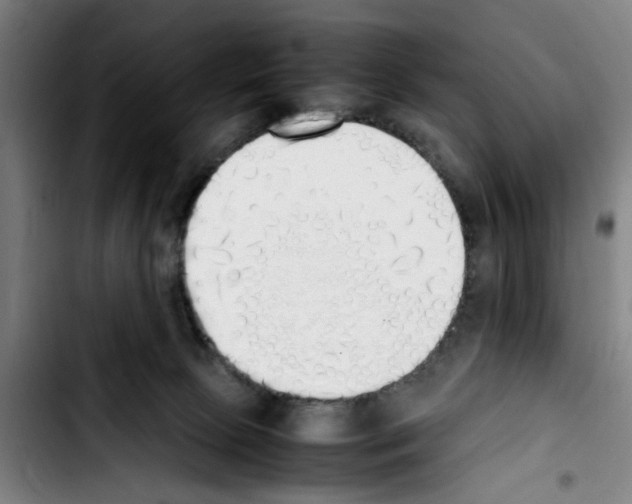 X0000103430081200810241108