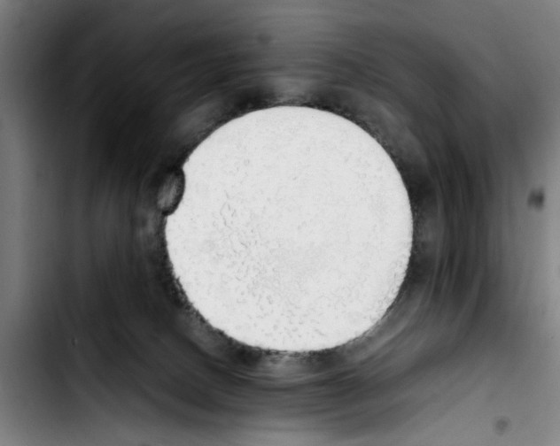 X0000103430082200810241108