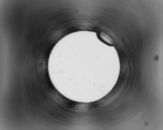 X0000103430084200810241108