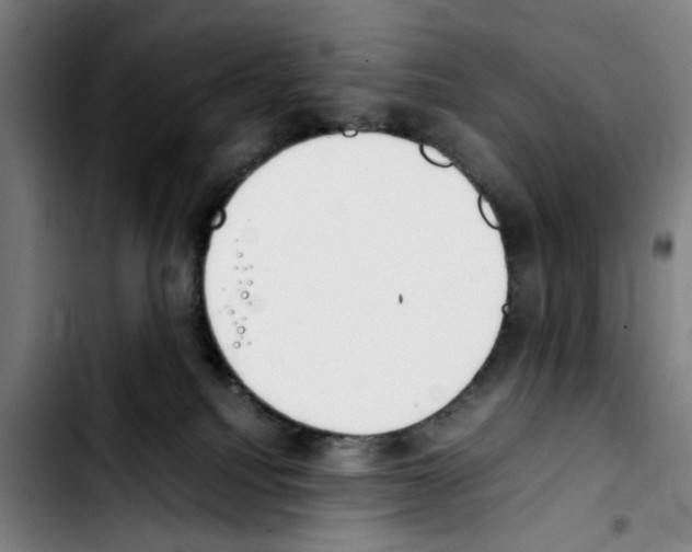 X0000103430088200810241108