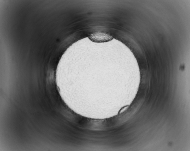 X0000103430089200810241108