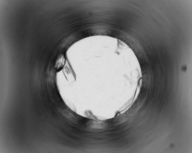X0000103430093200810241108