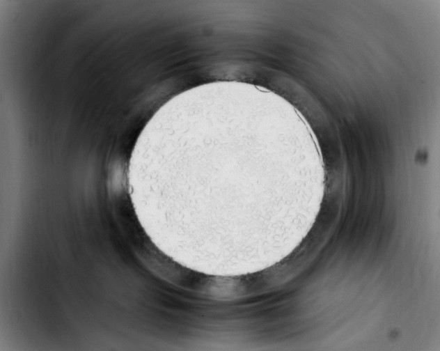 X0000103430095200810241108