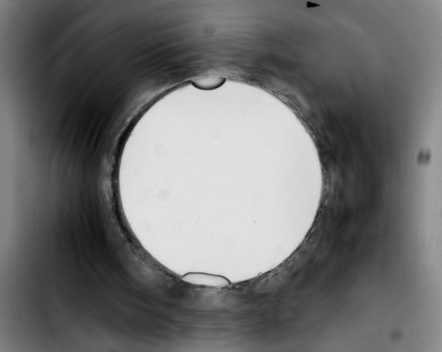 X0000103430098200810241108