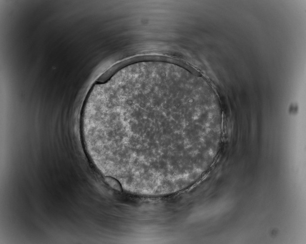 X0000103430099200810241108