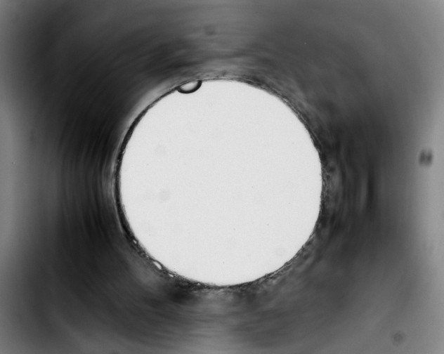 X0000103430100200810241108