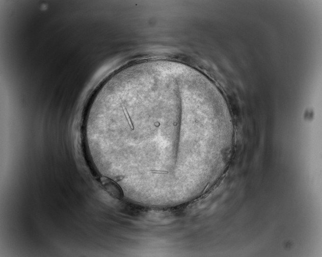 X0000103430101200810241108
