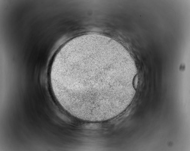 X0000103430102200810241108