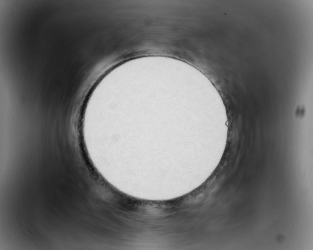X0000103430103200810241108