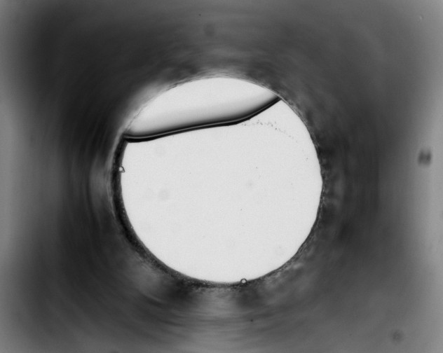 X0000103430104200810241108