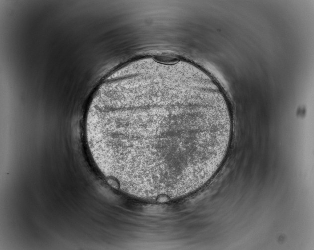 X0000103430105200810241108