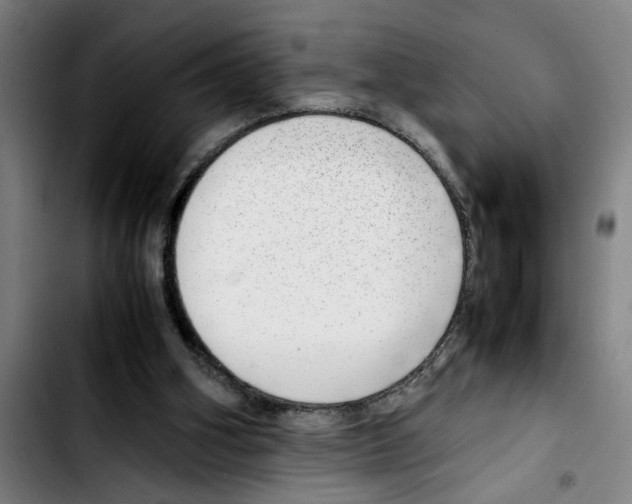 X0000103430106200810241108
