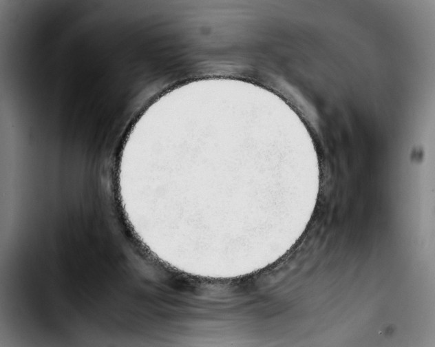 X0000103430107200810241108