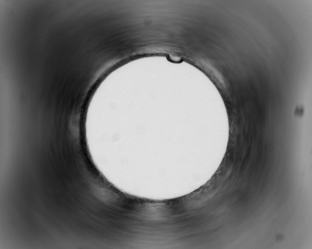 X0000103430108200810241108