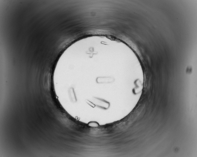 X0000103430109200810241108
