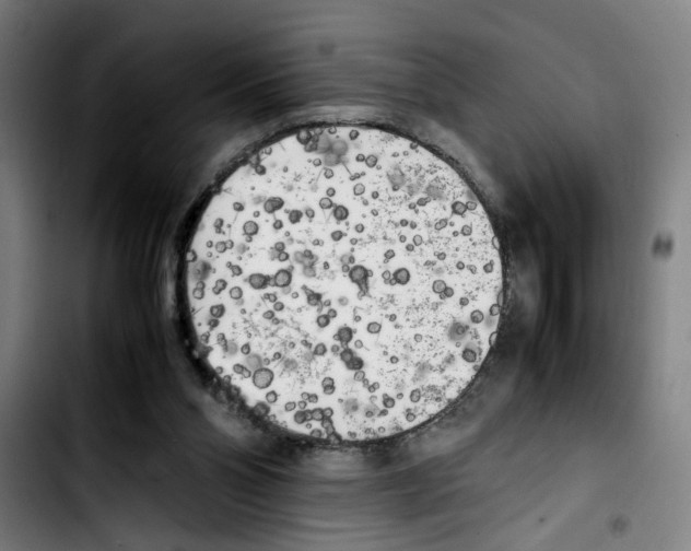 X0000103430110200810241108