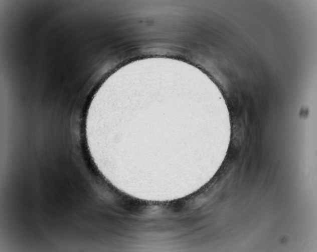 X0000103430111200810241108