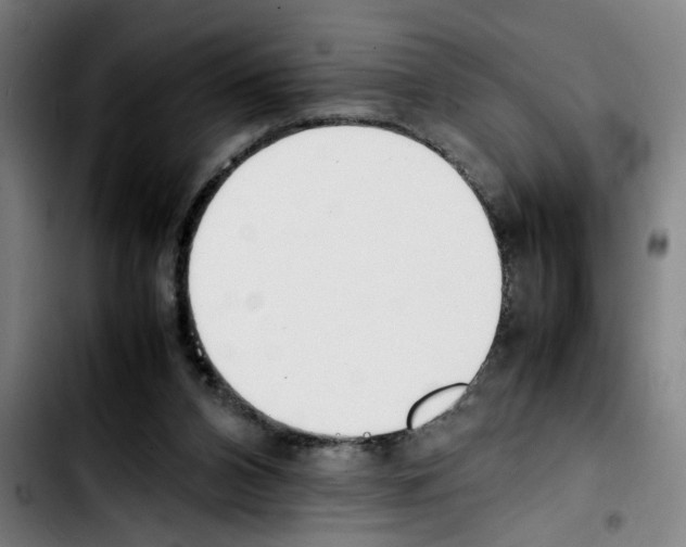 X0000103430112200810241108