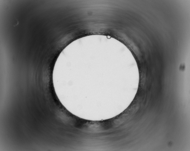 X0000103430113200810241108