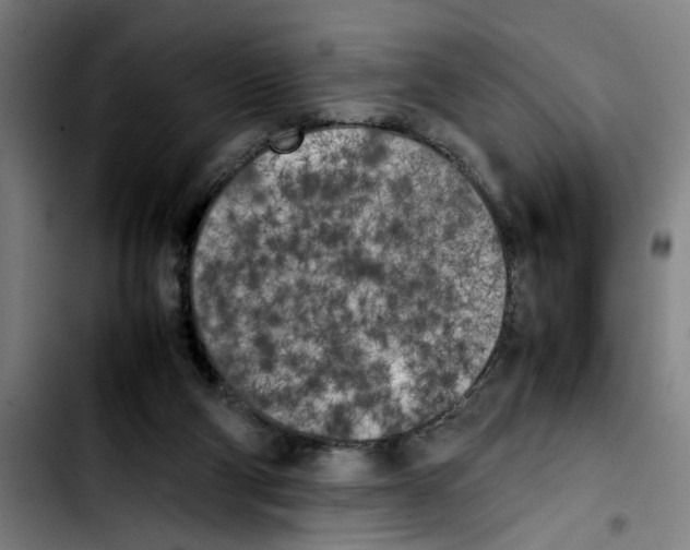 X0000103430114200810241108