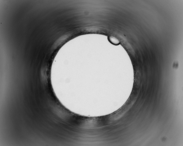 X0000103430116200810241108