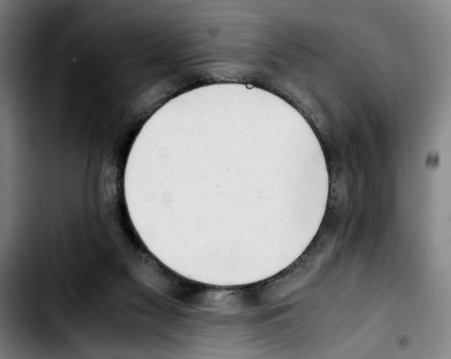 X0000103430117200810241108