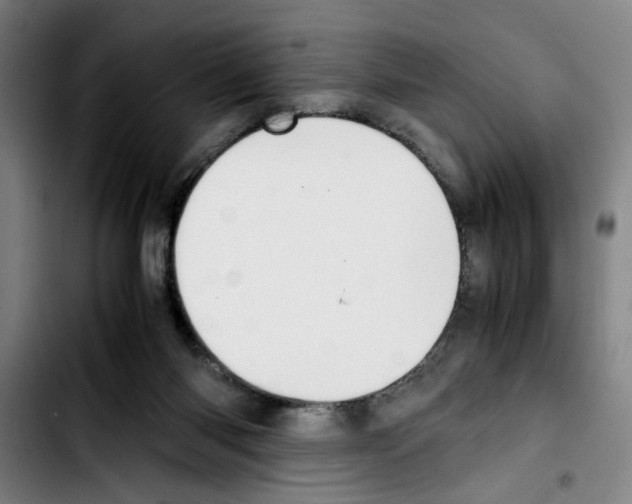 X0000103430118200810241108