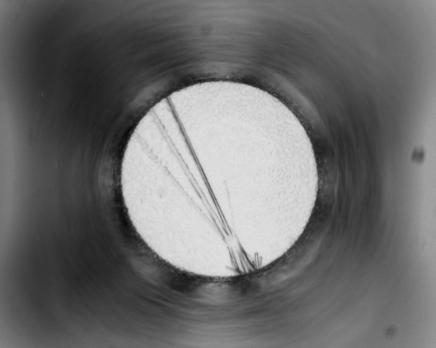 X0000103430119200810241107