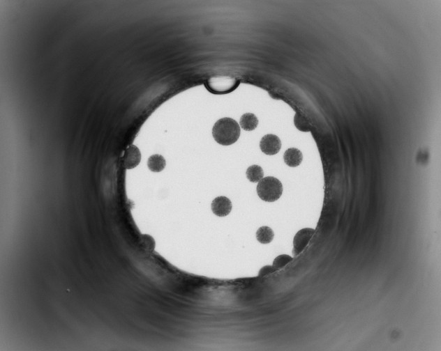 X0000103430120200810241107