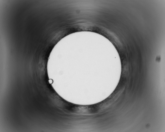 X0000103430121200810241107