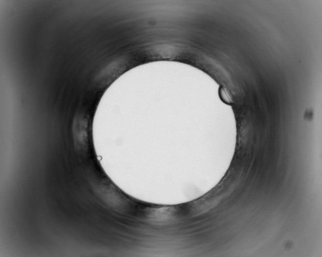 X0000103430122200810241107