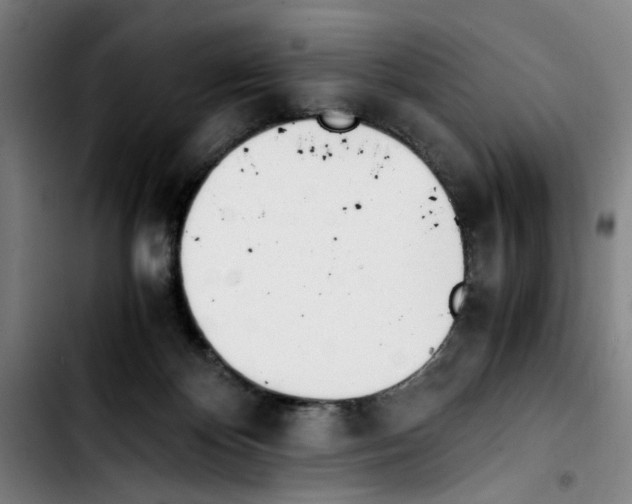 X0000103430124200810241107