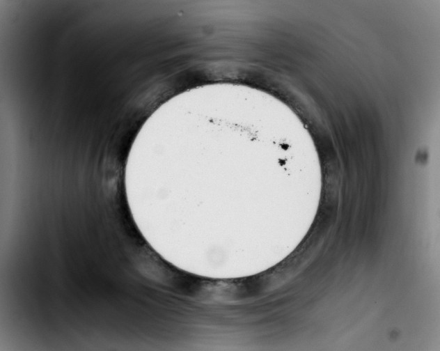 X0000103430125200810241107