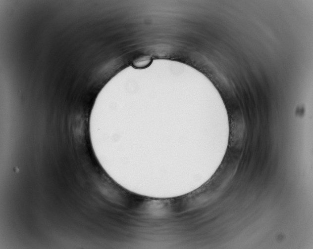 X0000103430126200810241107