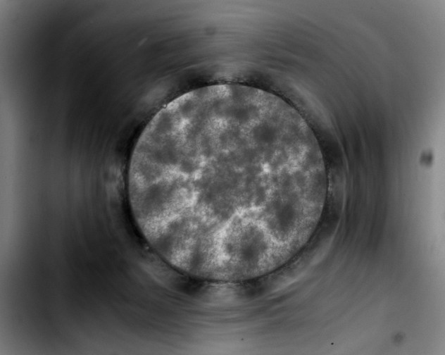 X0000103430127200810241107